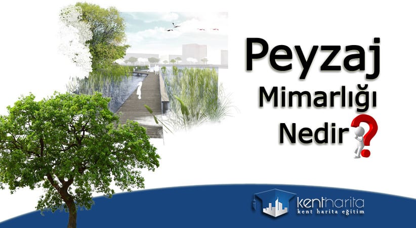 peyzaj mimarlığı nedir